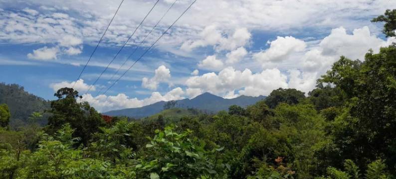 埃勒森林浴(Ella Forest Bath)图片