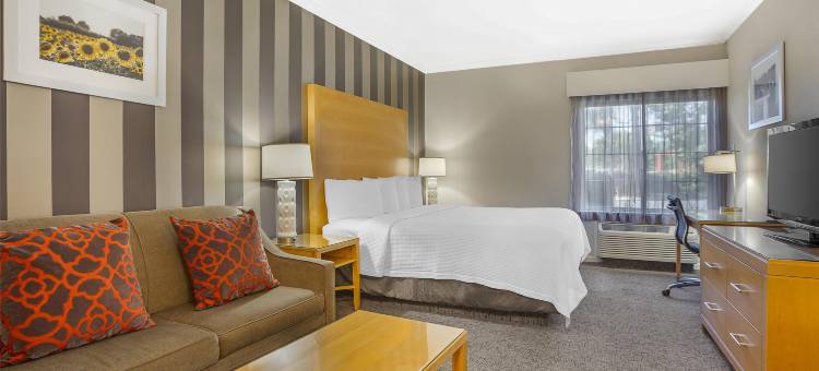 迪克森贝斯特韦斯特优质酒店(Best Western Plus Dixon Davis)图片