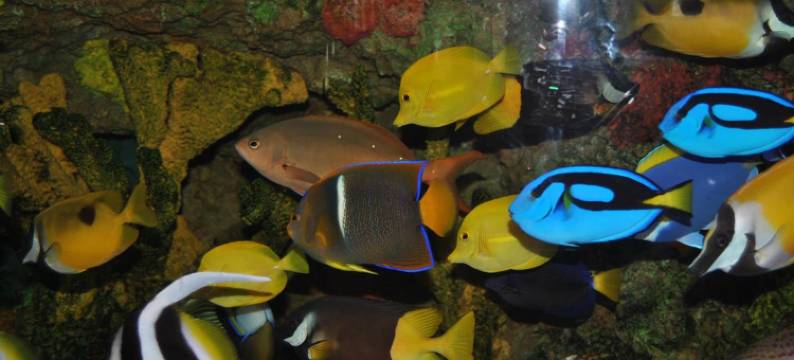 锡夫里弗福尔斯入住酒店(C'Mon Inn)图片