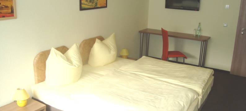 高登哈勒酒店(Hotel Gasthof Goldener Hahn)图片