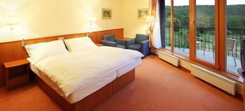 奥斯特鲁夫皮特劳恩酒店(Hotel Ostrov)图片