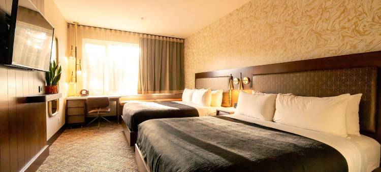 图芬诺泽德酒店(Hotel Zed Tofino)图片