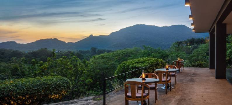 坎达拉马遗产酒店(Heritance Kandalama)图片