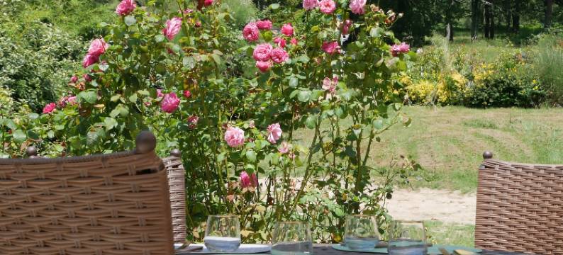 卡米亚克城堡(Chateau Camiac)图片