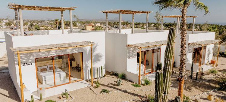 CASA BLANCO MADERA (限成人)(CasaBlancoMadera)图片