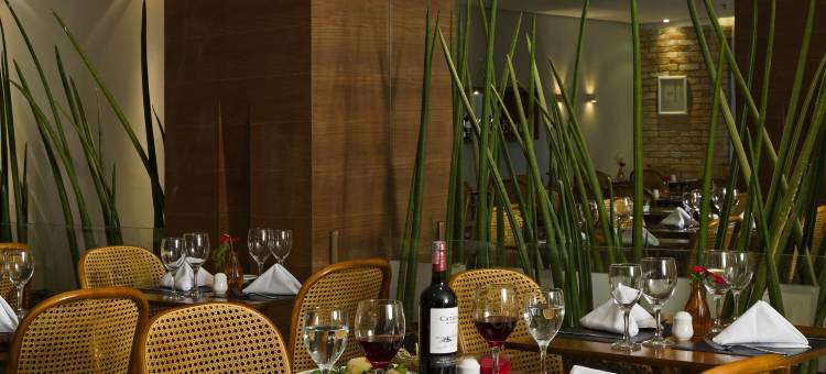 圣保罗纳科斯乌尼达斯城际酒店(Intercity São Paulo Nações Unidas)图片