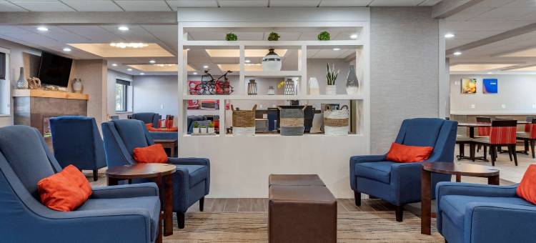 绿色田野村落舒适酒店(Comfort Inn Near Greenfield Village)图片