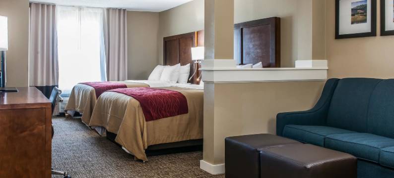 舒适套房酒店(Comfort Inn & Suites)图片