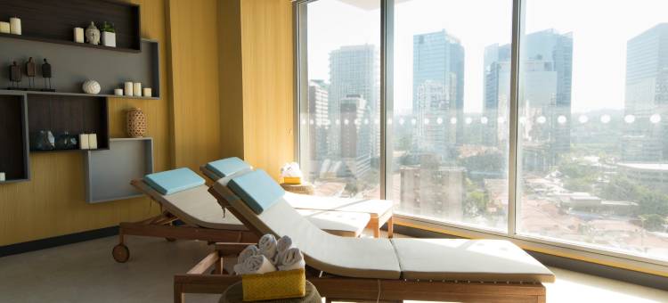 圣保罗贝林尼诺富特酒店(Novotel São Paulo Berrini)图片