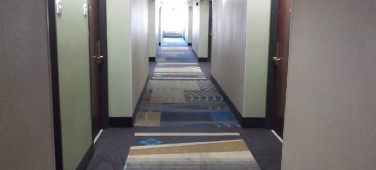 智选假日套房酒店本顿维尔(Holiday Inn Express & Suites Bentonville)图片