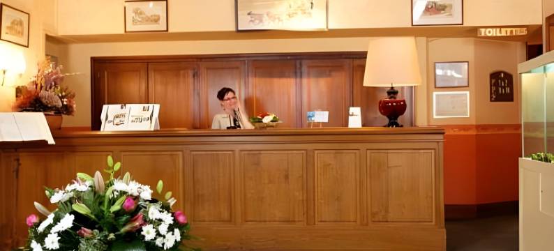 多芬英式酒店(Brit Hotel du Dauphin l'Aigle)图片