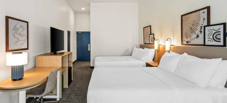 德卢斯希尔顿Spark酒店(Spark by Hilton Duluth)图片