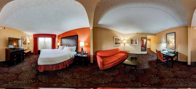 智选假日套房酒店泰勒南(Holiday Inn Express & Suites Tyler South)图片