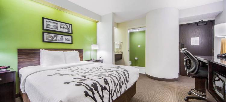 舒眠套房酒店(Sleep Inn & Suites Columbus)图片