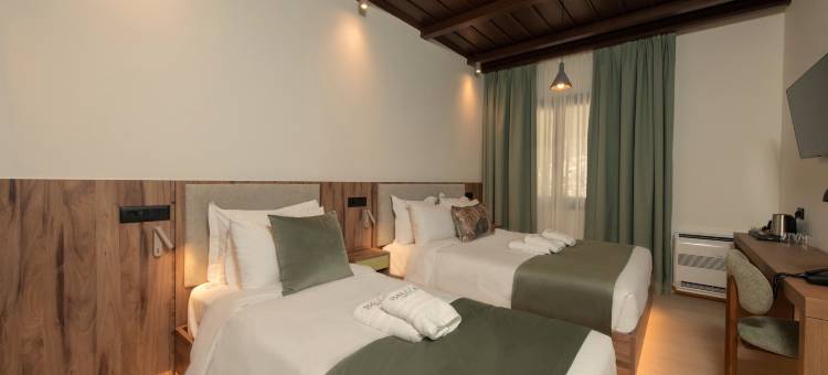 马克里尼察阳台(Balcon Makrinitsa)图片