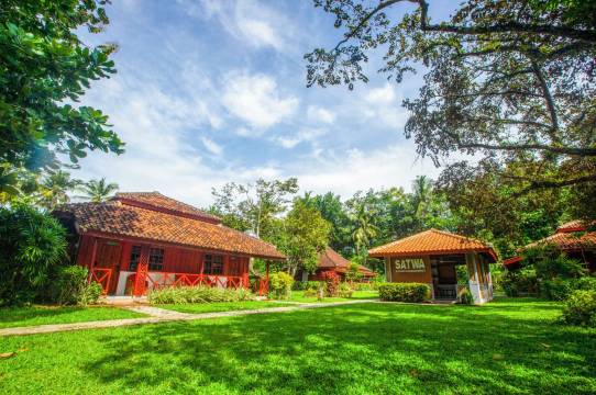 沙瓦大象生态小屋(The Satwa Elephant Ecolodge)