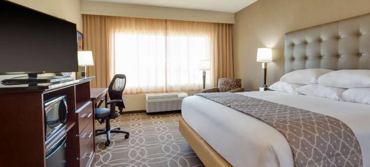 达拉斯-弗赖拉辛德鲁里套房酒店(Drury Inn & Suites Dallas Frisco)图片
