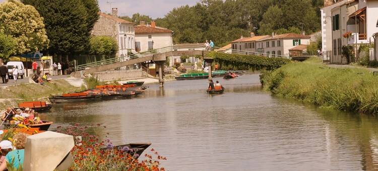 Luxury Villa in France with Pool图片
