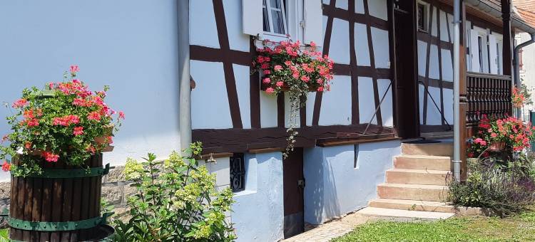 Holiday Home Alsace near Vosges Nature Park图片