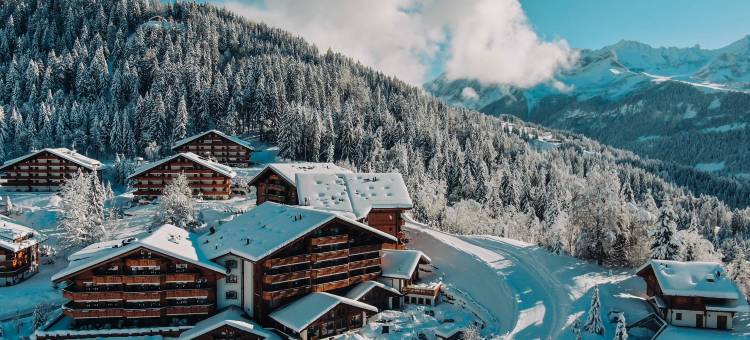 瑞欧亚普木屋温泉酒店(Chalet RoyAlp Hotel and Spa)图片