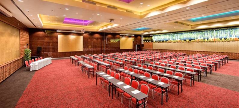 Holiday Inn 特尔纳瓦(Holiday Inn TRNAVA by IHG)图片