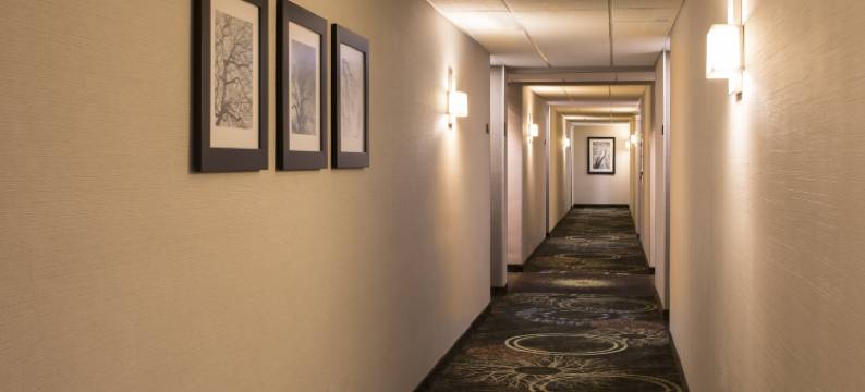 Staybridge Suites 蒙特雷 - 圣佩德罗 by IHG(Staybridge Suites MONTERREY - SAN PEDRO by IHG)图片