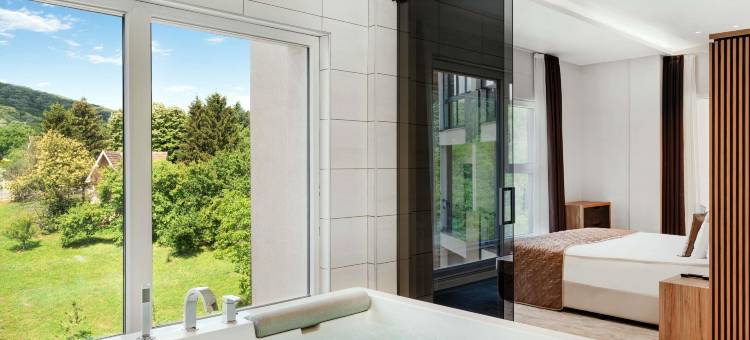 瑞享 Fruske Terme 度假水疗酒店(Movenpick Resort and Spa Fruske Terme)图片