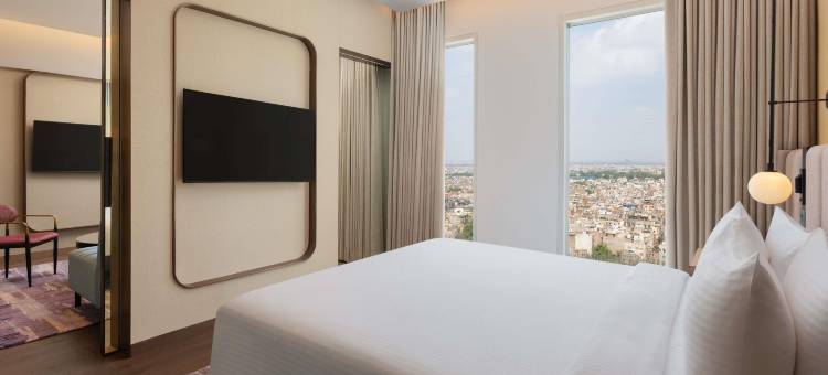 新德里市中心诺富特酒店(Novotel New Delhi City Centre)图片