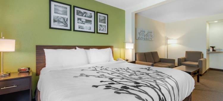 蓬塔戈尔达夏洛特港舒眠套房酒店(Sleep Inn & Suites Port Charlotte-Punta Gorda)图片