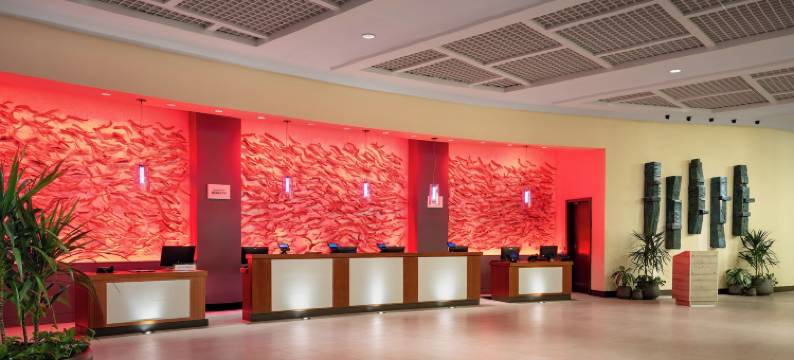 波多黎各喜来登娱乐场度假村酒店(Sheraton Puerto Rico Resort & Casino)图片