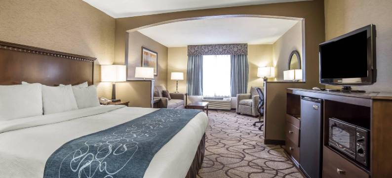 机场舒适套房酒店(Comfort Suites Airport)图片