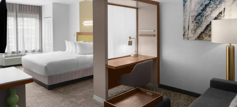 匹兹堡南部沃克斯万豪SpringHill酒店(SpringHill Suites Pittsburgh Southside Works)图片