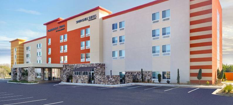 洛克斯特格罗夫SpringHill Suites酒店(SpringHill Suites by Marriott Locust Grove)图片