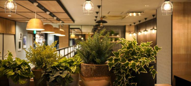 超级酒店御殿场II号馆(SUPER HOTEL Gotemba 2)图片