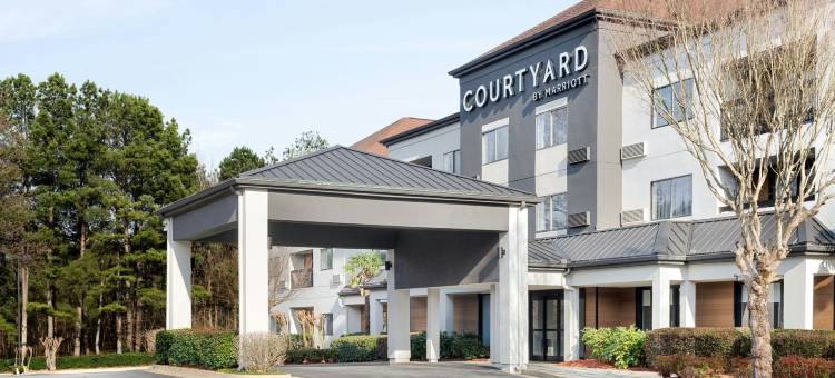 亚特兰大萨沃尼万怡酒店(Courtyard Atlanta Suwanee)图片