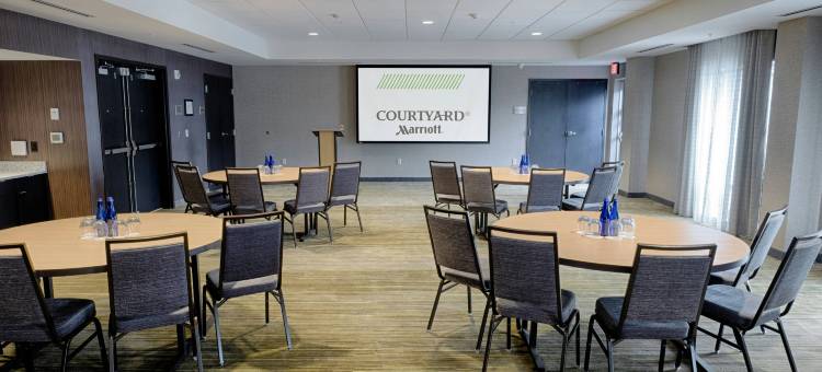 奥尔巴尼克利夫顿公园万怡酒店(Courtyard Albany Clifton Park)图片