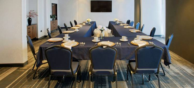 奇瓦瓦州 Distrito Uno 福朋喜来登酒店(Four Points by Sheraton Distrito Uno Chihuahua)图片