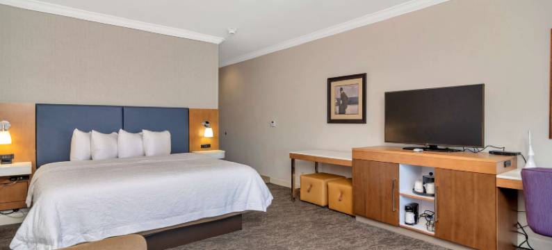 希尔顿欢朋套房酒店-沃斯堡化石溪(Hampton Inn & Suites Fort Worth-Fossil Creek)图片