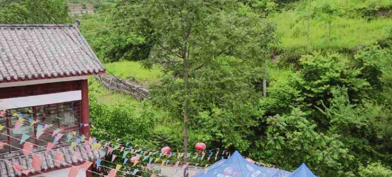 康县茶马庄园图片