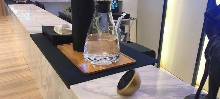 锐思特逸致酒店(西安市政府高铁北客站店)图片