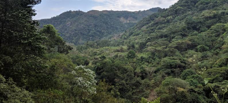 My House is Your House. Beautiful Apartment Near Unicentro Yopal, Colombia图片