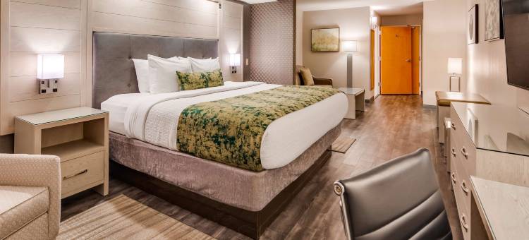 阿瓦纳机场贝斯特韦斯特精品酒店(Best Western Premier I-95 Savannah Airport/ Pooler West)图片