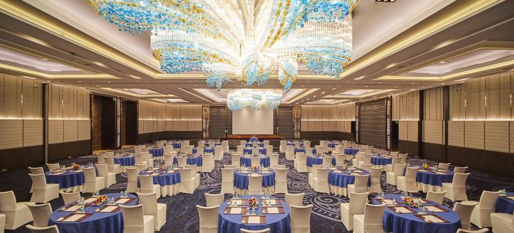 Crowne Plaza 新德里罗希尼(Crowne Plaza New Delhi Rohini)图片