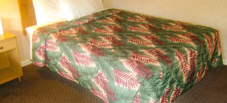 阿尔玛汽车旅馆(Alma Motel)图片