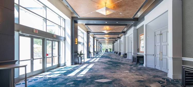 贝塞斯达北万豪酒店和会议中心(Bethesda North Marriott Hotel & Conference Center)图片