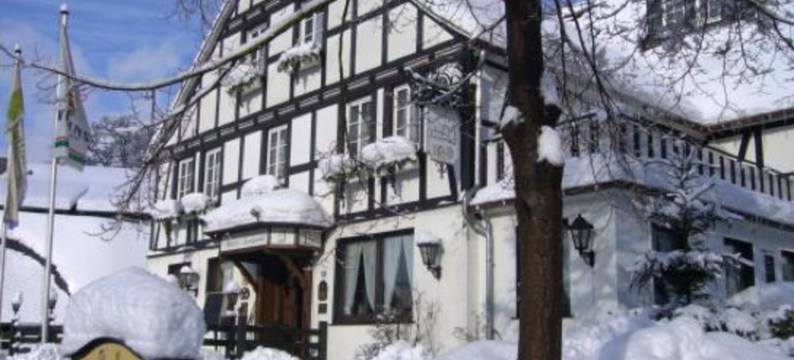 武勒尼尔兰德酒店(Wüllner's Landgasthof)图片