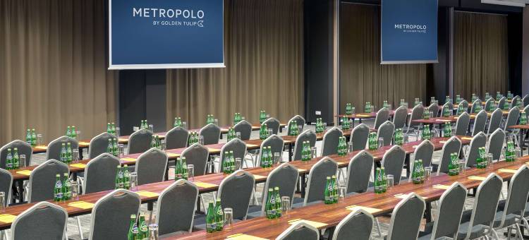 克拉特夫美特波罗-金色郁金香酒店旗下(Metropolo Krakow by Golden Tulip)图片