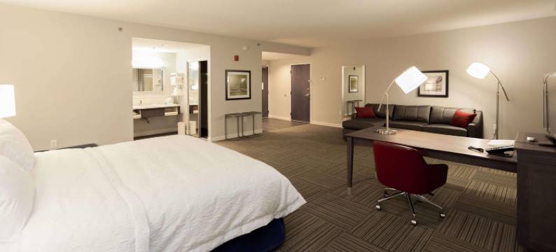 艾默生湖滨欢朋酒店(Hampton Inn Emerson LakePoint)图片