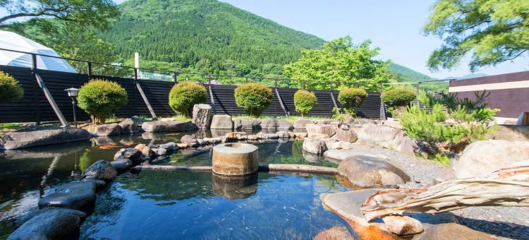 赤沢温泉日式旅馆(Akasawa Onsen Ryokan)图片