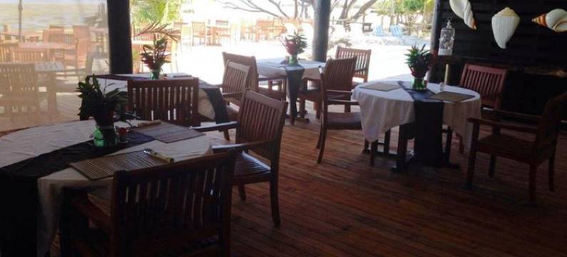 时髦鱼海滨度假村(Funky Fish Beach & Surf Resort)图片